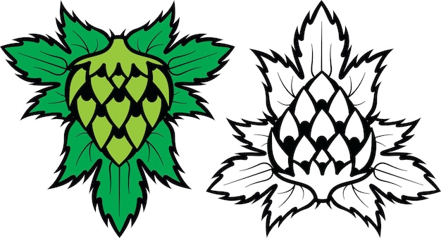 Colored vector illustration with color and monochrome hops