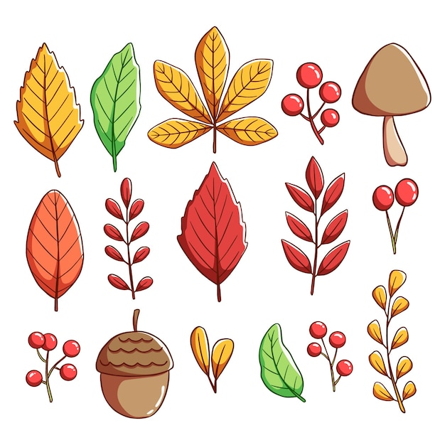 colorful autumn elements and leaves with hand drawing style