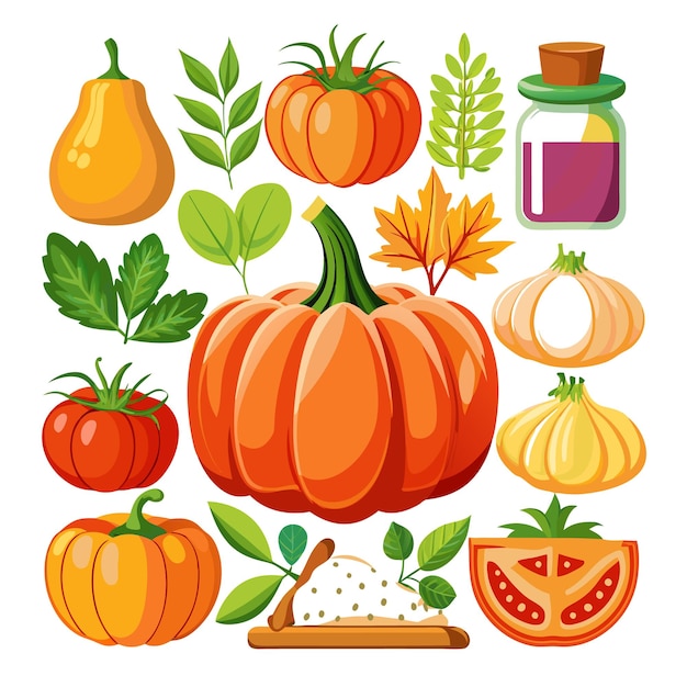 Vector colorful autumn harvest pumpkins tomatoes garlic and leaves