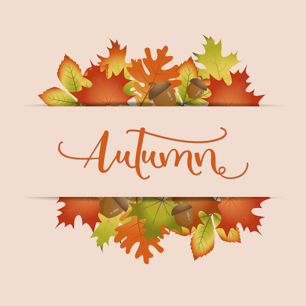 Colorful autumn leaves background