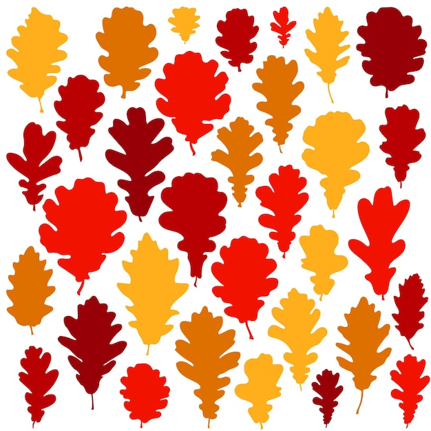 Colorful autumn oak leaves set on white background