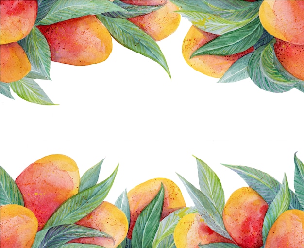 Colorful background with watercolor fruits mango frame 