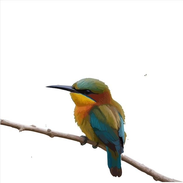 a colorful bird is perched on a branch with a sky background