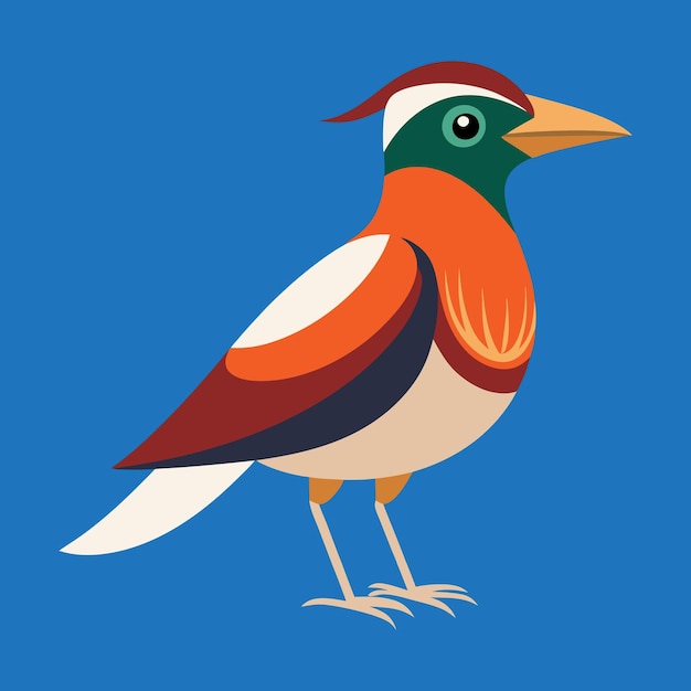 Vector colorful bird vector art illustration