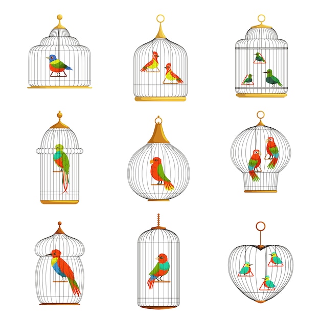 Colorful birds in cages set  Illustrations