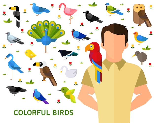 Colorful birds concept background.