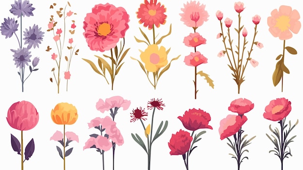 Colorful Birth Month Flowers Vector Art Collection