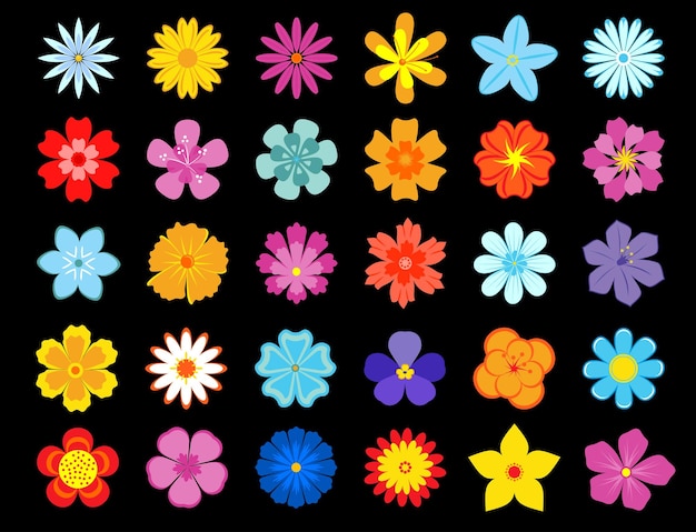 Colorful blooming flowers icons with daisies, gerberas, violets, cornflowers, asters and marigolds on black background