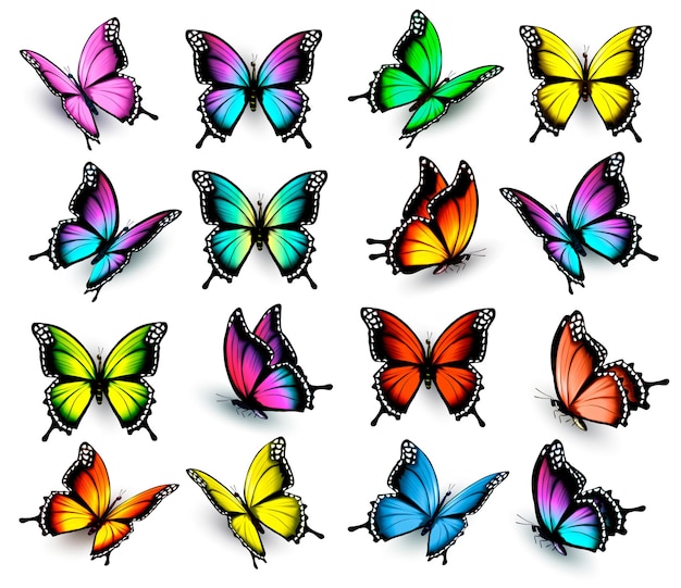 Colorful butterflies set. Vector.