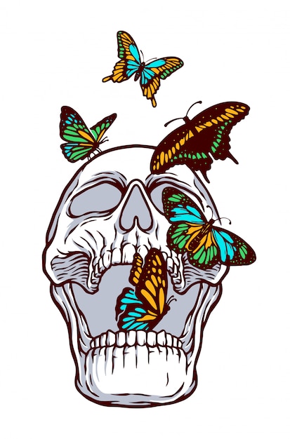 colorful butterflies and skull illustration