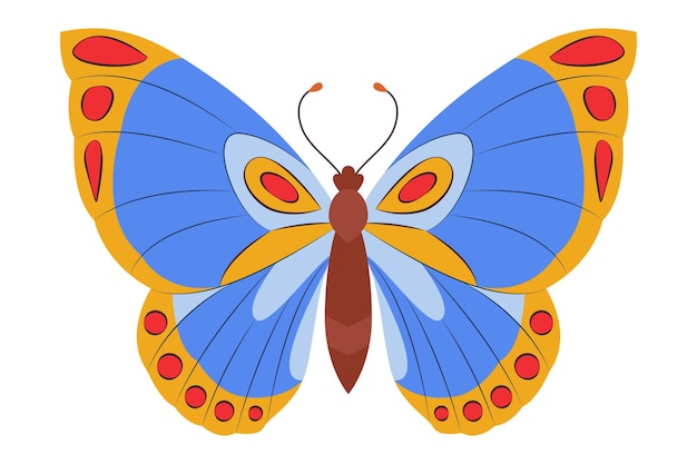 Colorful butterfly icon logo isolated beautiful butterfly illustration