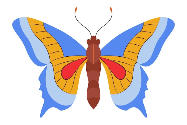 Colorful butterfly icon logo isolated beautiful butterfly illustration