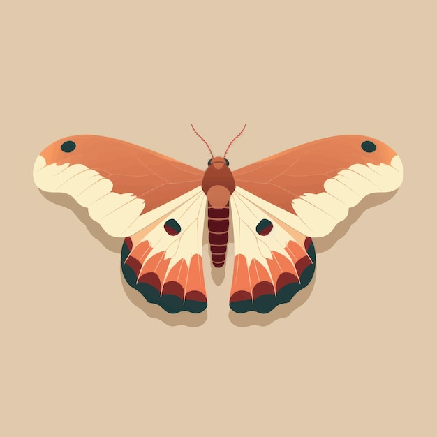 Vector colorful butterfly illustration art