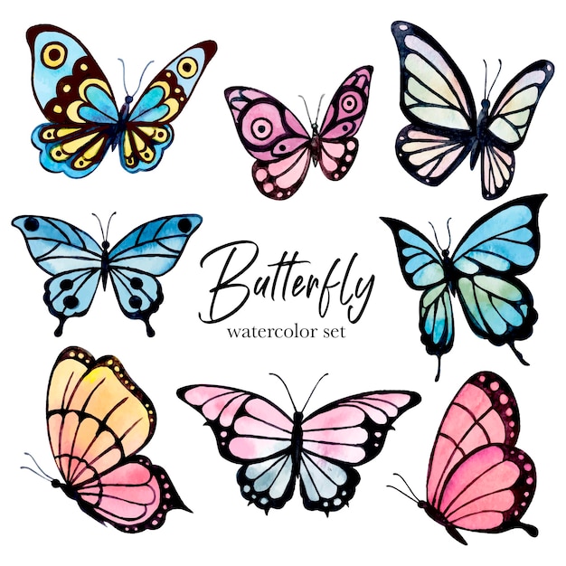 Colorful butterfly's watercolor set. Vector illustration