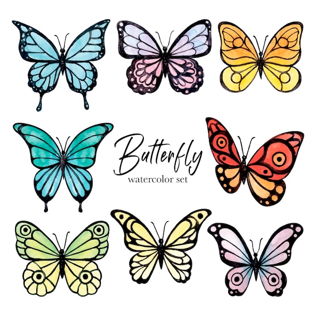 Colorful butterfly's watercolor set. Vector illustration