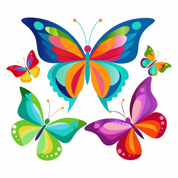 a colorful butterfly with many colors on it