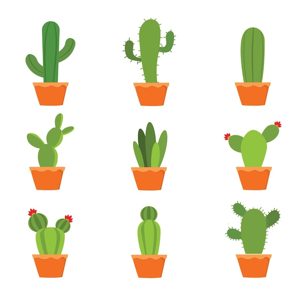 Colorful cactus set premium vector suitable for multiple purpose