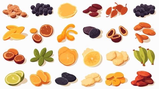 Vector colorful cartoon illustration of dried fruits raisin and dates