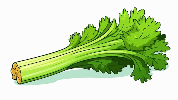 Colorful Celery Cartoon Vector Illustration on White Background