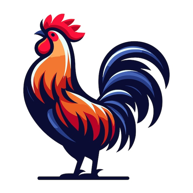 Colorful chicken rooster vector design illustration animal pet vector template isolated on white