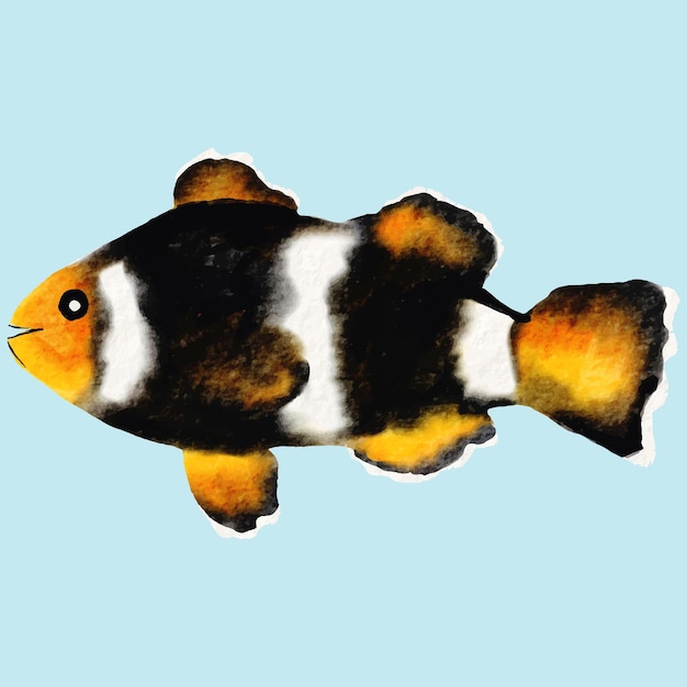 Colorful Clown Fish Watercolor Painting Artistic Marine Illustration