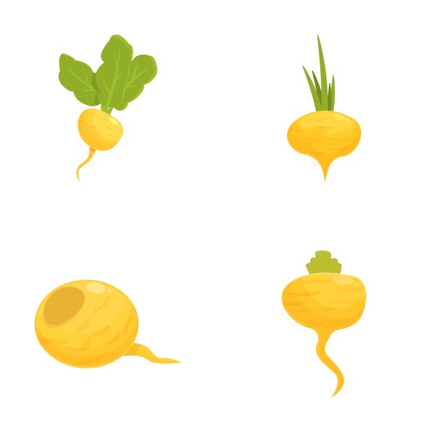 Vector colorful collection of root vegetables illustrations