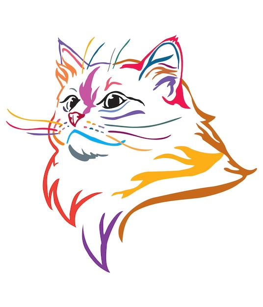 Colorful decorative portrait of Cat 10