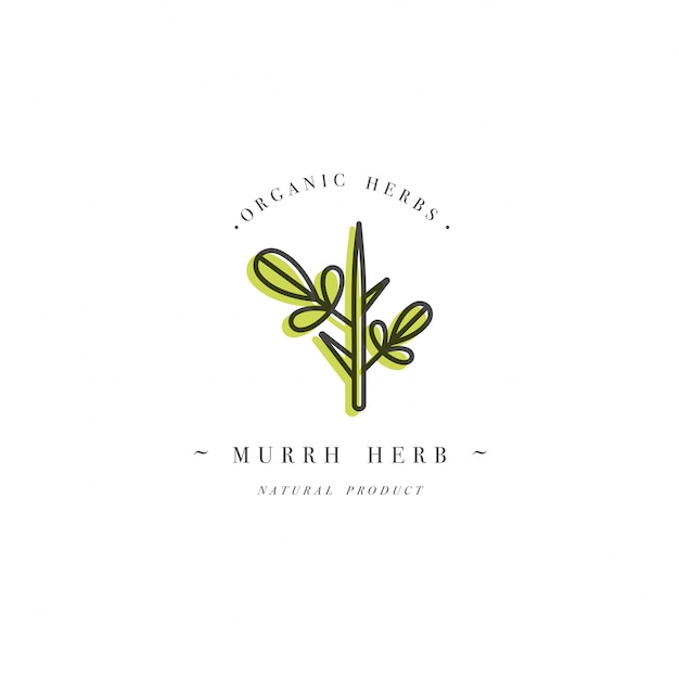 colorful design template logo and emblem healthy herb- murrh. Logo in trendy linear style isolated  .