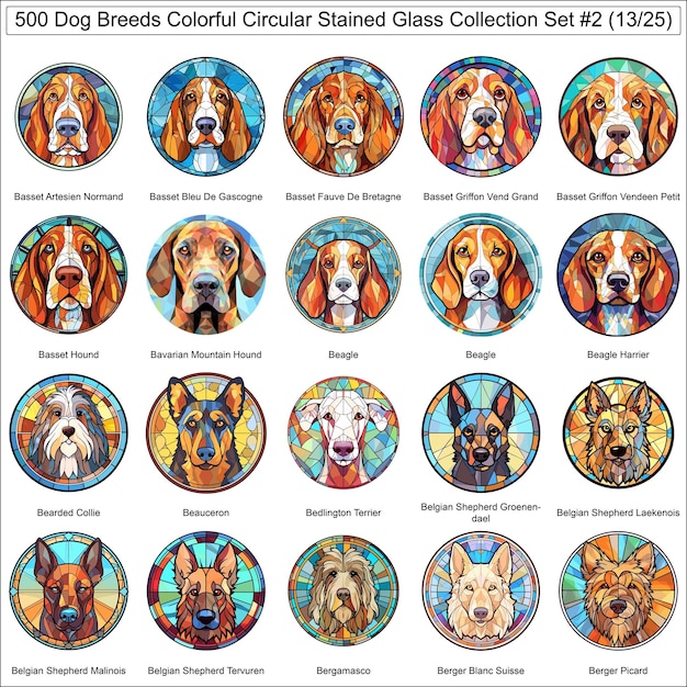 Vector colorful dog breeds circular stained glass dogs bundle collection set 2 of 500 dog faces part 13