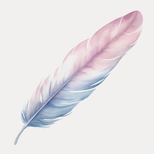 Colorful feather art illustration