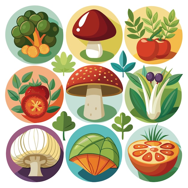 Vector colorful flat design vector icons of vegetables and mushrooms