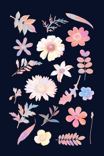 Colorful floral design vector set