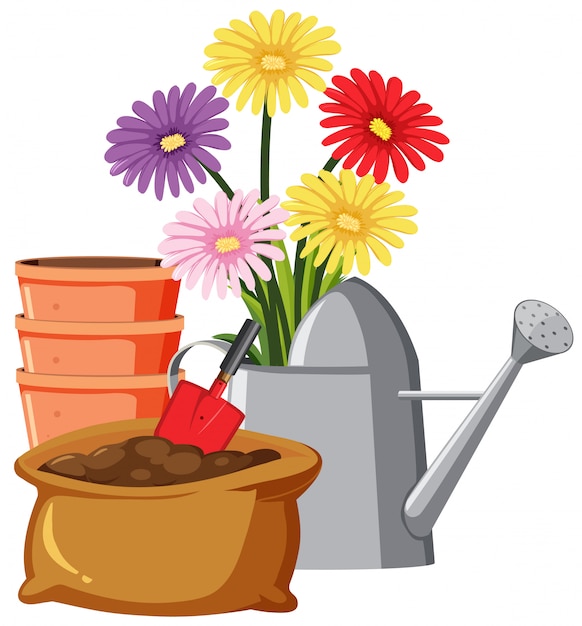 Colorful flowers in watering can on white background