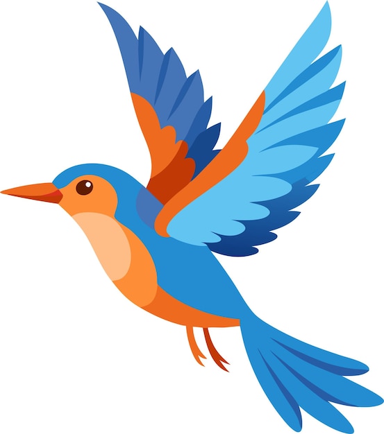 Vector a colorful flying bird vector art illustration