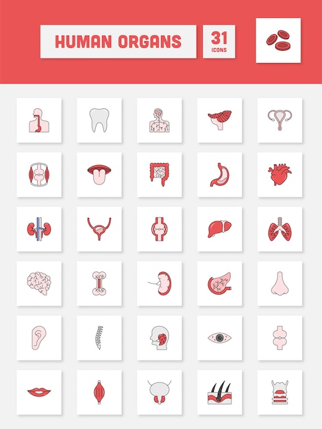 Colorful Human Organs Square Icon Set