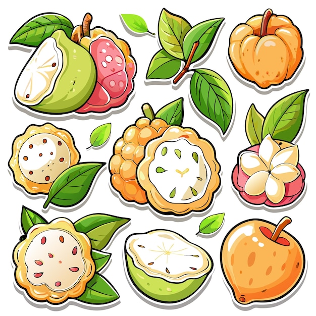 A colorful illustration of various tropical fruits and leaves