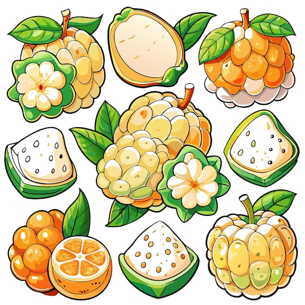 A colorful illustration of various tropical fruits and their slices