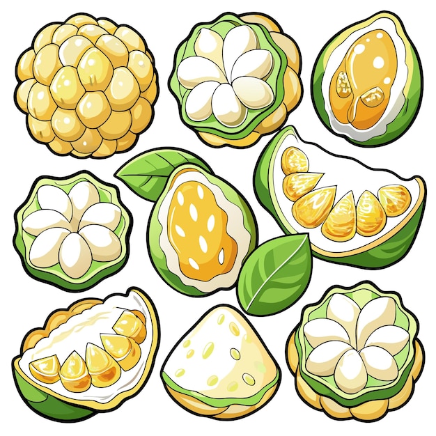 A colorful illustration of various tropical fruits