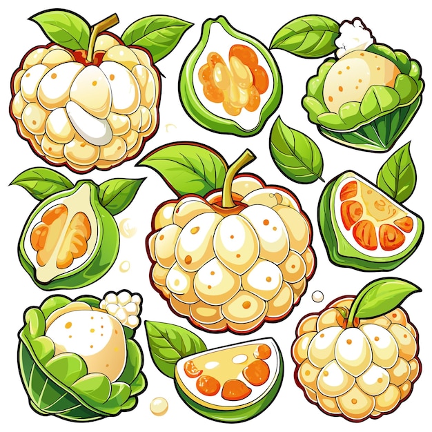 Colorful illustrations of various tropical fruits and leaves