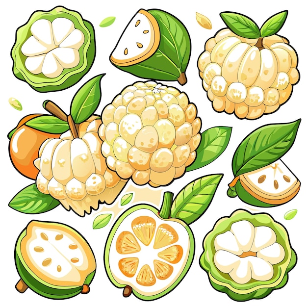 Vector colorful illustrations of various tropical fruits and leaves