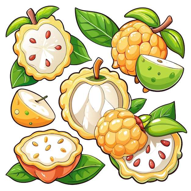 Colorful illustrations of various tropical fruits with leaves