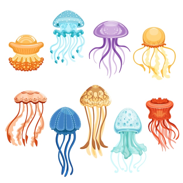 Colorful jellyfish set, swimming marine creatures watercolor  Illustrations on a white background