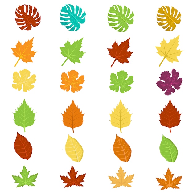 Colorful leaves isolated set