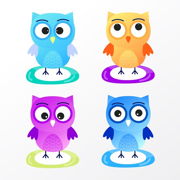 Vector colorful owl birds design