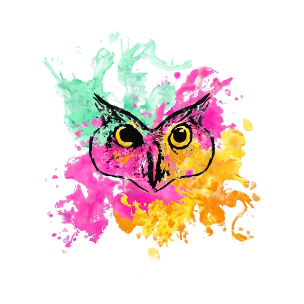 colorful owl face logo art with watercolor in vector format