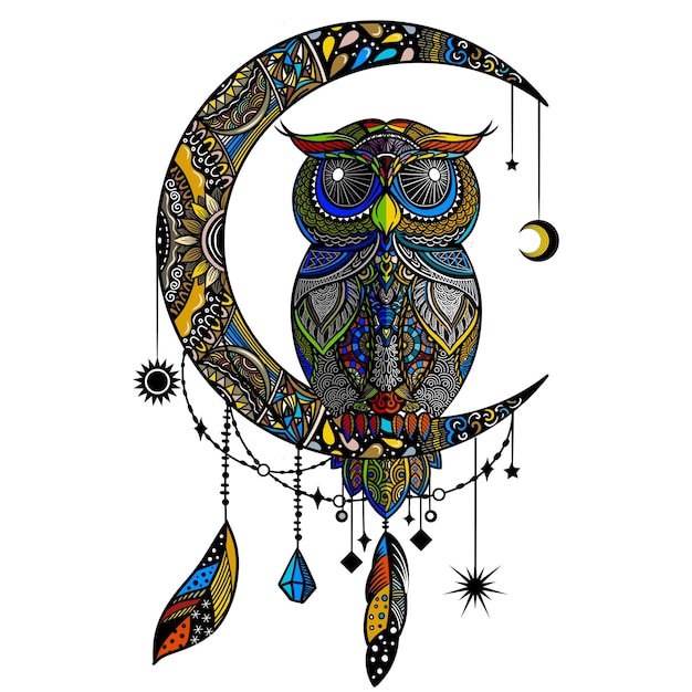 Colorful owl zentangle art illustration Ethnic patterned vector illustration