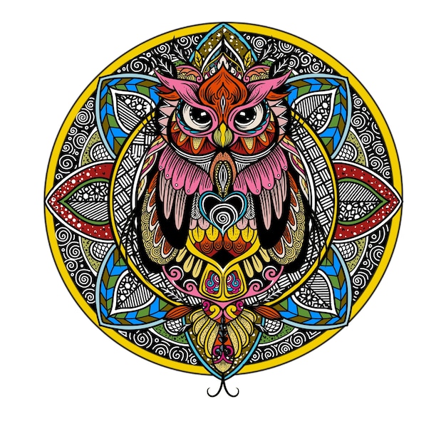 Colorful owl zentangle art illustration Ethnic patterned vector illustration