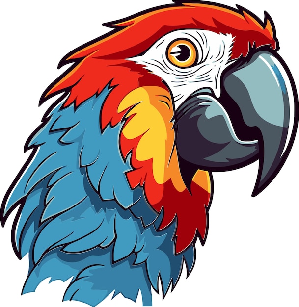 a colorful parrot with a blue and red beak