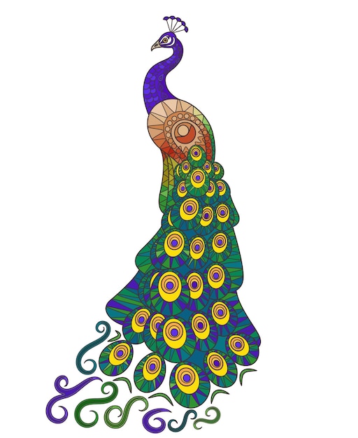 Colorful Peacock illustration. Decorative peacocks tail