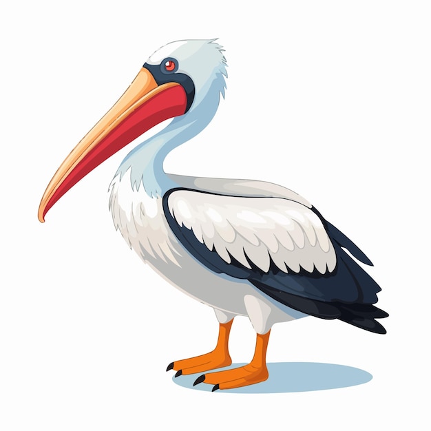 Colorful Pelican Cartoon Vector Illustration Playful Bird Character Design